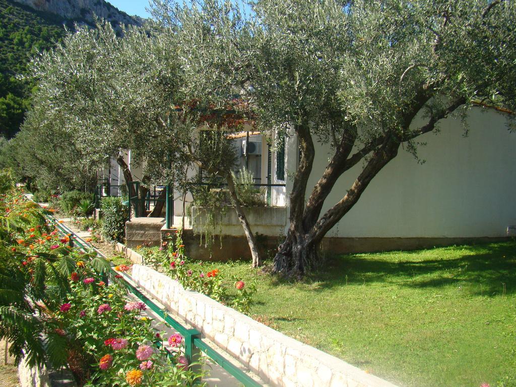 Apartment Bonaca קלק מראה חיצוני תמונה